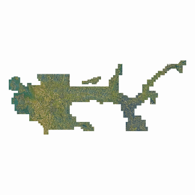 Export Image
